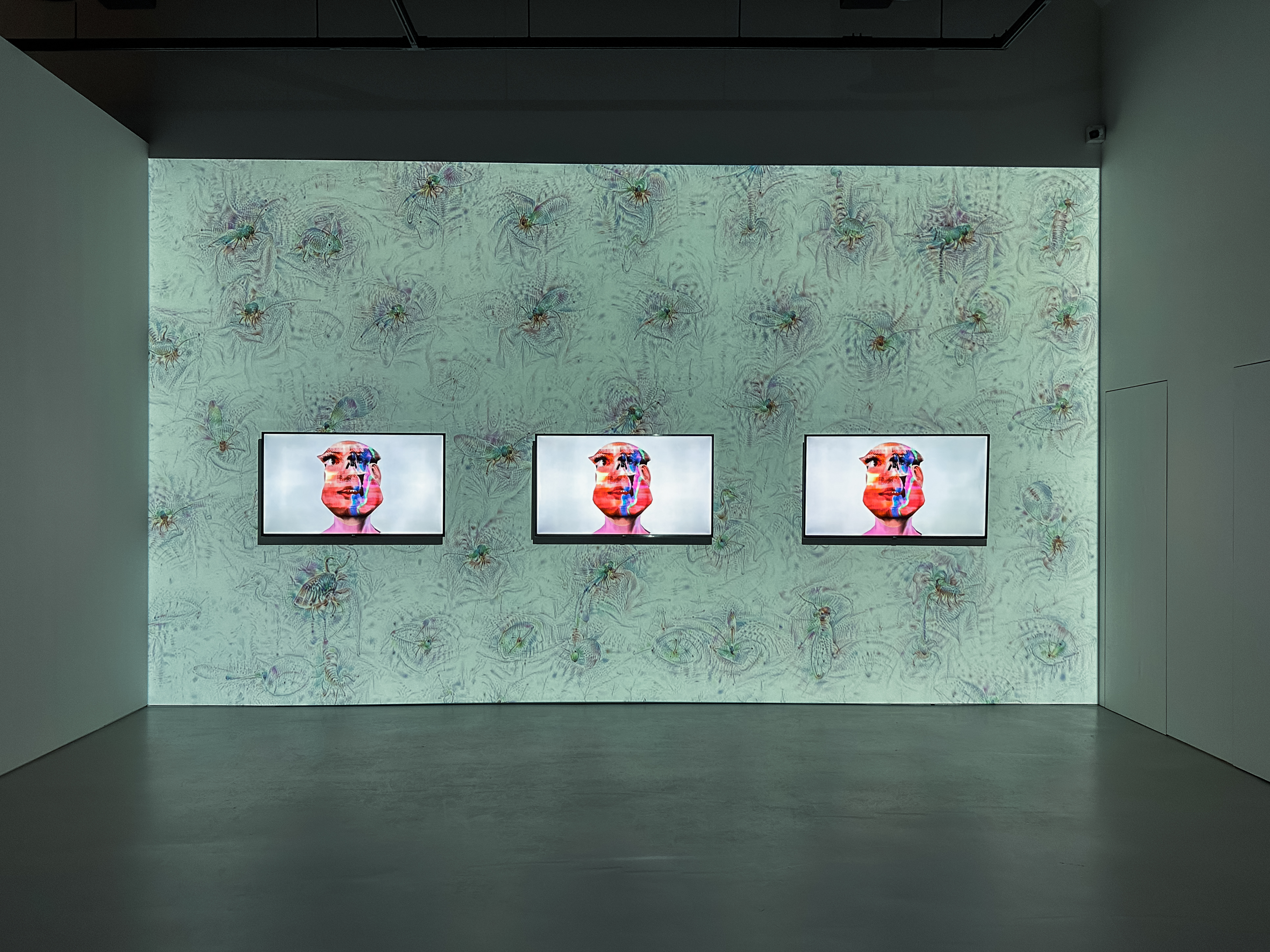 Wide shot of exhibition piece at Proof of Personhood at the Singapore Art Museum. 