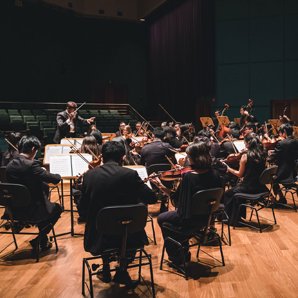 Mid shot of the orchestra from Birdsong: Your Orchestral Adventure