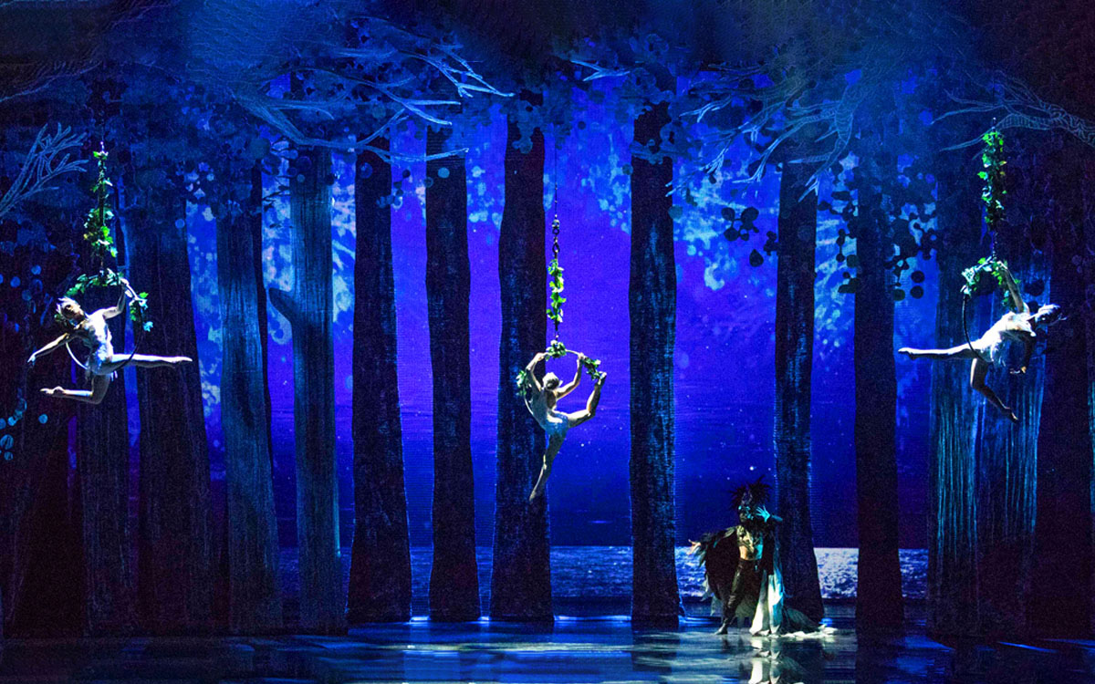 Wide shot of performers from Xi’An Acrobatic Troupe