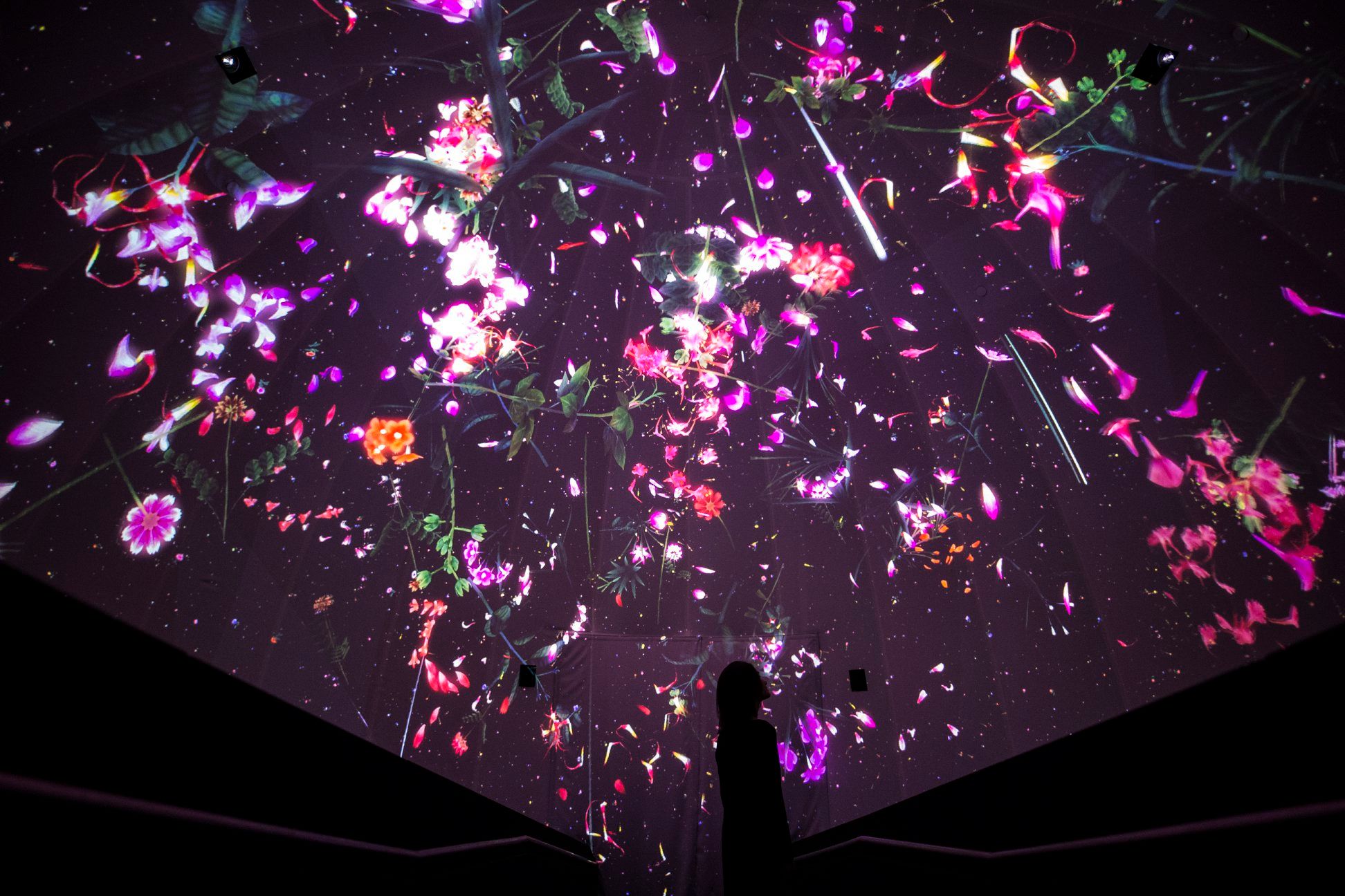 Wide shot of a silhouette looking up at a digital installation