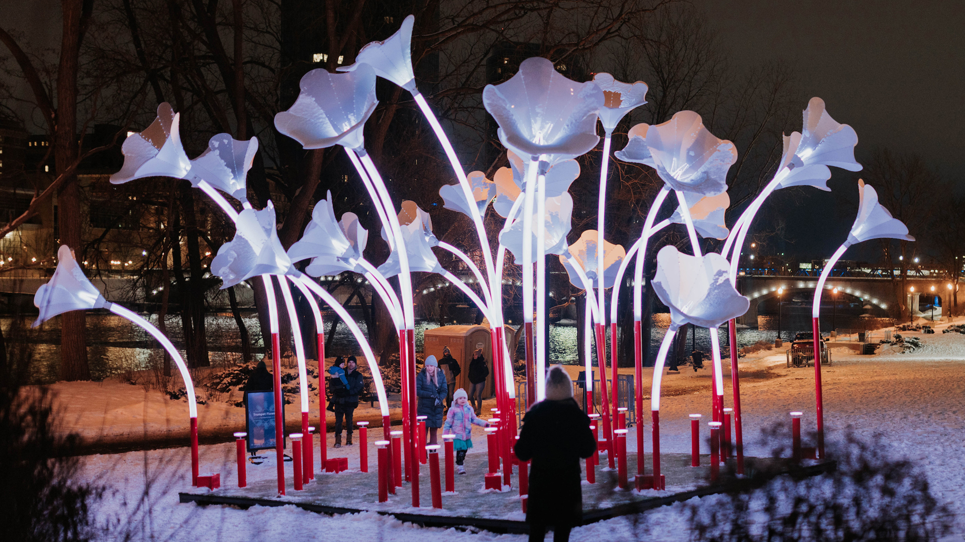 Wide shot of installation Trumpet Flowers